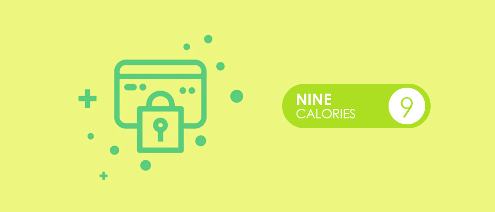 Privacy policy illustration with a shield, lock, or secure document symbol.